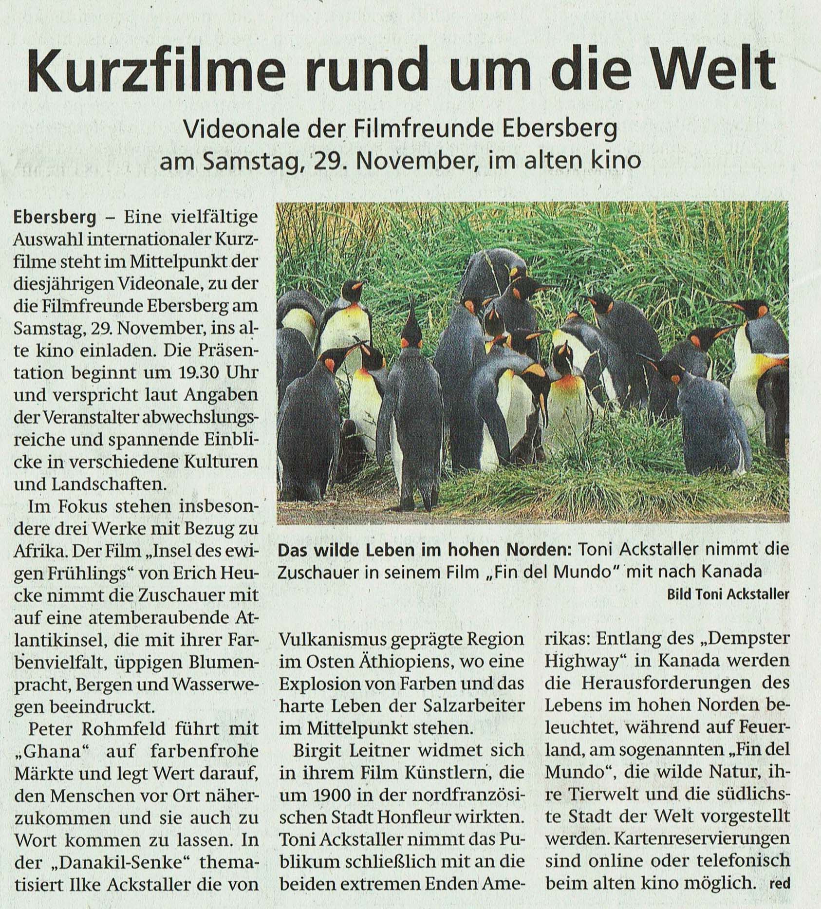 FFE-Videonale-2025-Presse-Hallo