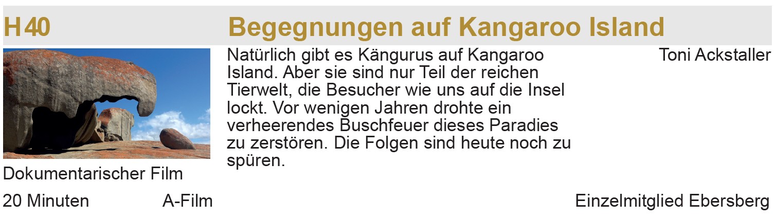 FFE-Erfolge-BAF-2026-Ackstaller-Toni