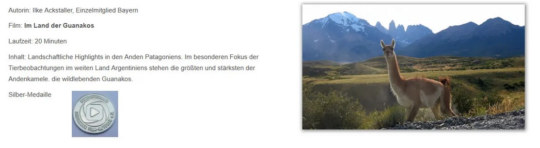 FFE-Erfolge-DAFF-2022-Ackstaller-Ilke