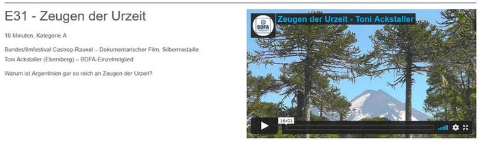 FFE-Erfolge-DAFF-Teilnahme-Urzeit