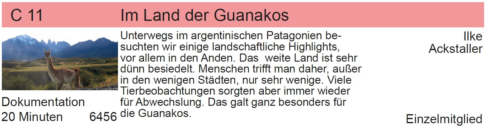 FFE-Erfolge-LFF-2022-Ackstaller-Ilke