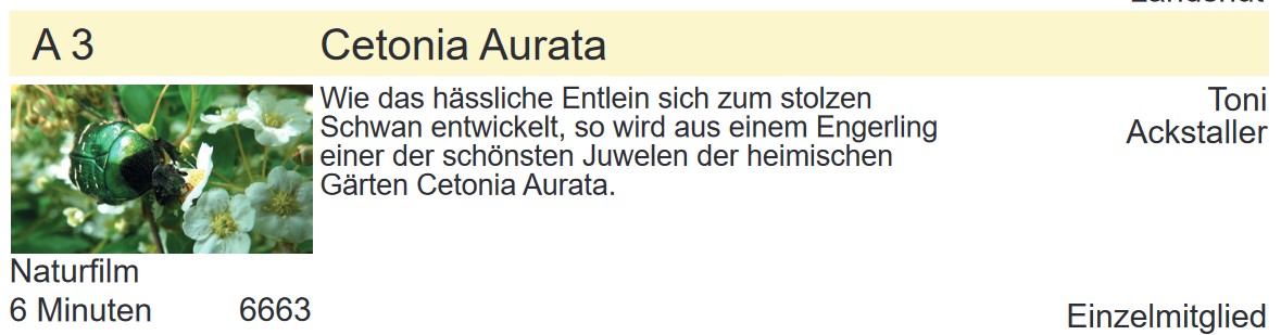 FFE-Erfolge-LFF-2023-Ackstaller-Toni-2