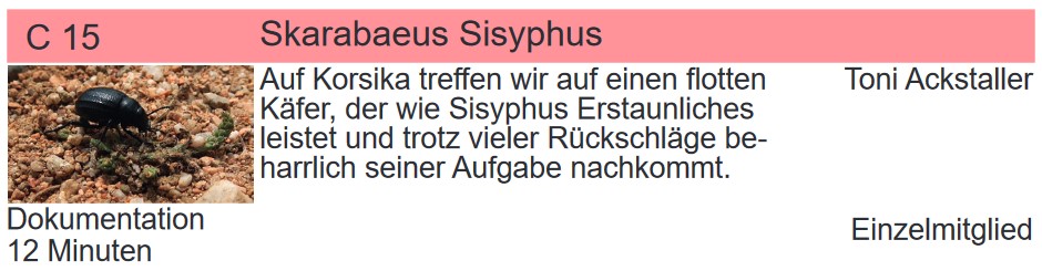 FFE-Erfolge-LFF-2024-Ackstaller-Toni-2