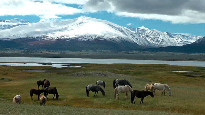 FFE-Erfolge-LFF2017-Film-Screen-Altai
