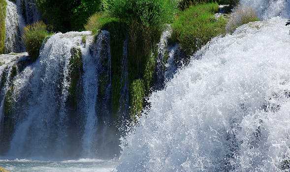 FFE-Erfolge-LFF2017-Film-Screen-Dalmatien