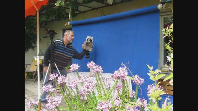 FFE-Videonale-Trailer-Erich-Hand